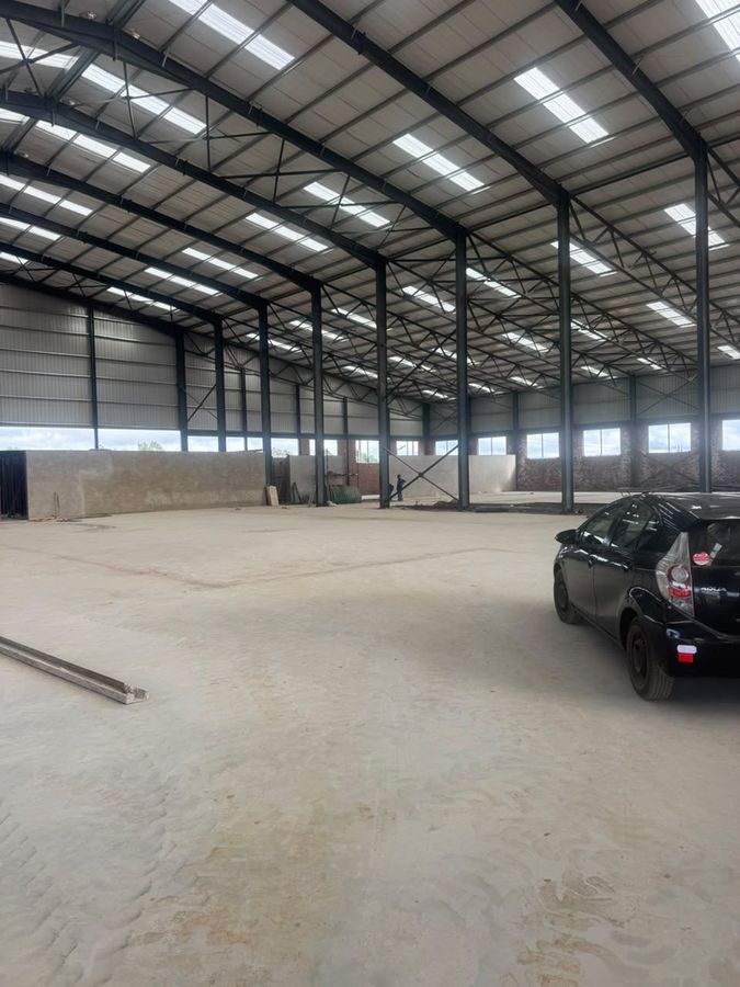 Steel portal frames and roof lighting